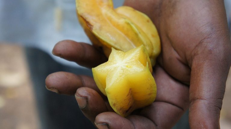 karambolou