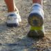 Běžecké boty pro začátečníky – Nike Pegasus vs Adidas Adizero