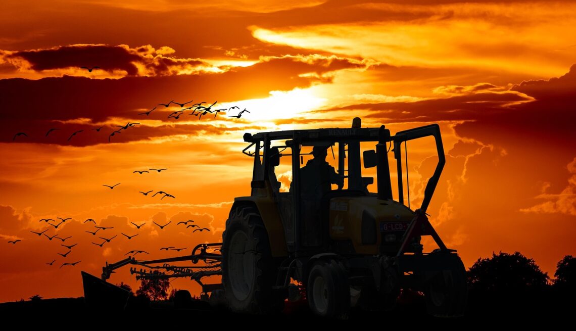 Zahradní traktor seká velký travnatý pozemek